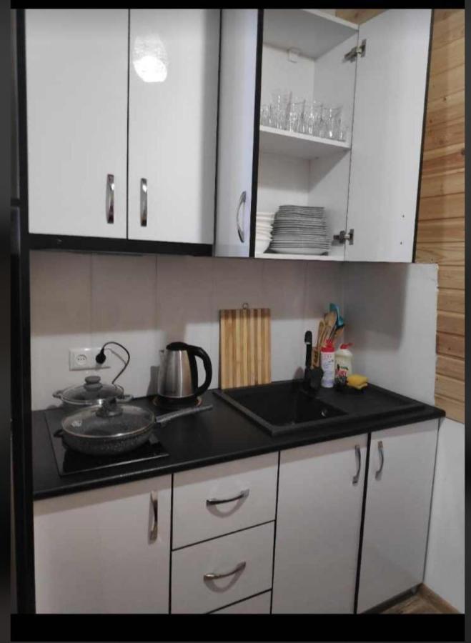 Mountain Dream House Apartment Gudauri Bagian luar foto
